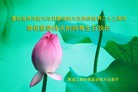���ֹ�,�������󷨵��ӹ������編�ִ�����ʦ�𻪵�(28��)
