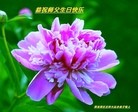 ���ֹ�,�ӱ��󷨵��ӹ������編�ִ�����ʦ�𻪵�(28��)
