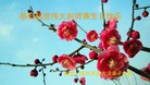 ���ֹ�,�������󷨵��ӹ������編�ִ�����ʦ�𻪵�(28��)
