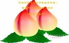 ���ֹ�,�������󷨵��ӹ������編�ִ�����ʦ�𻪵�(28��)
