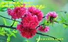 ���ֹ�,�������󷨵��ӹ������編�ִ�����ʦ�𻪵�(28��)
