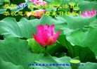 ���ֹ�,�ӱ��󷨵��ӹ������編�ִ�����ʦ�𻪵�(28��)
