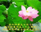 ���ֹ�,�������󷨵��ӹ������編�ִ�����ʦ�𻪵�(26��)
