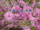 ���ֹ�,��ľ˹�󷨵��ӹ������編�ִ�����ʦ�𻪵�(26��)
