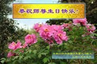 ���ֹ�,�����󷨵��ӹ������編�ִ�����ʦ�𻪵�(29��)
