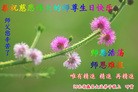 ���ֹ�,�����󷨵��ӹ������編�ִ�����ʦ�𻪵�(30��)
