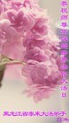 ���ֹ�,�������󷨵��ӹ������編�ִ�����ʦ�𻪵�(29��)
