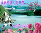 ���ֹ�,�������󷨵��ӹ������編�ִ�����ʦ�𻪵�(29��)
