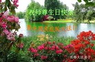 ���ֹ�,�����󷨵��ӹ������編�ִ�����ʦ�𻪵�(25��)
