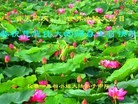 ���ֹ�,�����󷨵��ӹ������編�ִ�����ʦ�𻪵�(25��)
