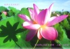 ���ֹ�,�����󷨵��ӹ������編�ִ�����ʦ�𻪵�(30��)
