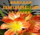 ���ֹ�,�����󷨵��ӹ������編�ִ�����ʦ�𻪵�(29��)
