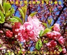 ���ֹ�,�������󷨵��ӹ������編�ִ�����ʦ�𻪵�(40��)

