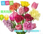 ���ֹ�,�ӱ��󷨵��ӹ������編�ִ�����ʦ�𻪵�(78��)
