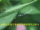 ���ֹ�,���ִ󷨵��ӹ������編�ִ�����ʦ�𻪵�(29��)
