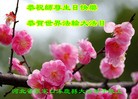 ���ֹ�,�ӱ��󷨵��ӹ������編�ִ�����ʦ�𻪵�(78��)
