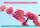 ���ֹ�,�ӱ��󷨵��ӹ������編�ִ�����ʦ�𻪵�(78��)
