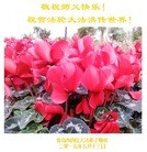 ���ֹ�,ɽ���󷨵��ӹ������編�ִ�����ʦ�𻪵�(56��)
