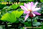 ���ֹ�,�ӱ��󷨵��ӹ������編�ִ�����ʦ�𻪵�(78��)
