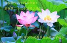 ���ֹ�,�������󷨵��ӹ������編�ִ�����ʦ�𻪵�(22��)
