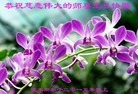 ���ֹ�,��ľ˹�󷨵��ӹ������編�ִ�����ʦ�𻪵�(18��)
