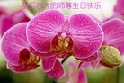 ���ֹ�,��ľ˹�󷨵��ӹ������編�ִ�����ʦ�𻪵�(18��)
