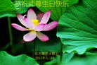 ���ֹ�,��ľ˹�󷨵��ӹ������編�ִ�����ʦ�𻪵�(18��)

