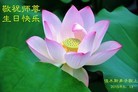 ���ֹ�,��ľ˹�󷨵��ӹ������編�ִ�����ʦ�𻪵�(18��)
