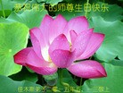 ���ֹ�,��ľ˹�󷨵��ӹ������編�ִ�����ʦ�𻪵�(18��)
