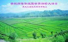 ���ֹ�,��ľ˹�󷨵��ӹ������編�ִ�����ʦ�𻪵�(18��)
