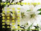 ���ֹ�,�ӱ��󷨵��ӹ������編�ִ�����ʦ�𻪵�(78��)
