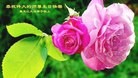 ���ֹ�,�������󷨵��ӹ������編�ִ�����ʦ�𻪵�(20��)
