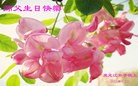 ���ֹ�,�������󷨵��ӹ������編�ִ�����ʦ�𻪵�(20��)
