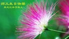 ���ֹ�,�������󷨵��ӹ������編�ִ�����ʦ�𻪵�(20��)
