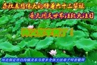 ���ֹ�,�ӱ��󷨵��ӹ������編�ִ�����ʦ�𻪵�(78��)
