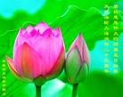 ���ֹ�,ʯ��ׯ�󷨵��ӹ������編�ִ�����ʦ�𻪵�(21��)
