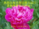 ���ֹ�,�ػʵ��󷨵��ӹ������編�ִ�����ʦ�𻪵�(20��)
