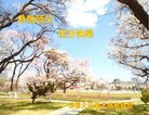 ���ֹ�,�����󷨵��ӹ������編�ִ�����ʦ�𻪵�(21��)
