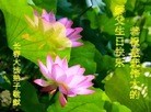 ���ֹ�,�����󷨵��ӹ������編�ִ�����ʦ�𻪵�(20��)
