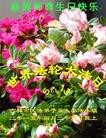 ���ֹ�,�����д󷨵��ӹ������編�ִ�����ʦ�𻪵�(22��)
