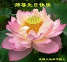 ���ֹ�,����ʡ�󷨵��ӹ������編�ִ�����ʦ�𻪵�(22��)

