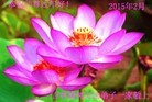���ֹ�,�����󷨵��ӹ������編�ִ�����ʦ�𻪵�(20��)
