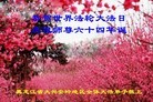 ���ֹ�,�������󷨵��ӹ������編�ִ�����ʦ�𻪵�(19��)
