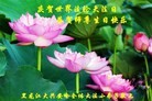 ���ֹ�,С���ӹ������編�ִ�����ʦ�𻪵�(24��)
