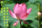 ���ֹ�,�������󷨵��ӹ������編�ִ�����ʦ�𻪵�(21��)
