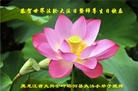 ���ֹ�,С���ӹ������編�ִ�����ʦ�𻪵�(24��)
