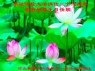 ���ֹ�,�ػʵ��󷨵��ӹ������編�ִ�����ʦ�𻪵�(20��)
