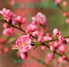 ���ֹ�,���ϴ󷨵��ӹ������編�ִ�����ʦ�𻪵�(26��)
