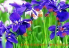 ���ֹ�,���󷨵��ӹ������編�ִ�����ʦ�𻪵�(24��)
