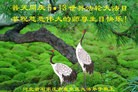 ���ֹ�,ʯ��ׯ�󷨵��ӹ������編�ִ�����ʦ�𻪵�(23��)
